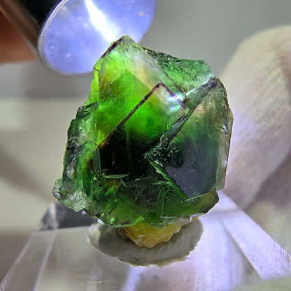 Cube de fluorite fantôme zonal, tourmaline muscovite Schörl, hyalite Erongo, Namibie 25*21*17mm 