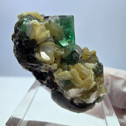 Cube de fluorite fantôme, zonal, muscovite, spécimen de tourmaline Schorl, Erongo, Namibie, 35 x 21 x 20 mm 