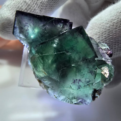 Seltene Phantom Fluorit Würfel Stufe zonal grün lila Okorusu, Namibia 36*27*17mm