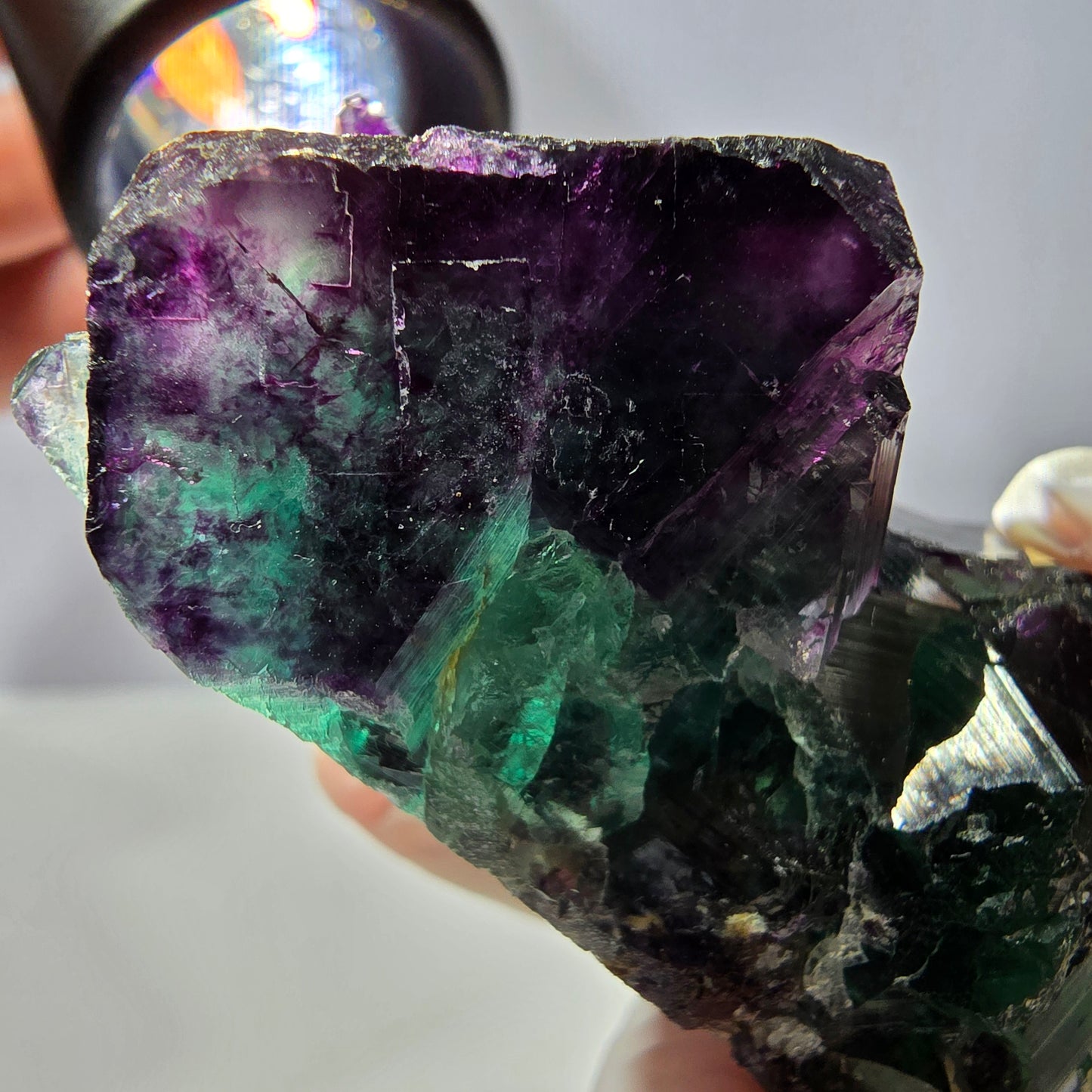 Spécimen de cube de fluorite fantôme, parqueté vert violet Okorusu, Namibie 58*40*27 mm 