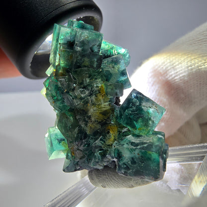 Cube de fluorite fantôme, spécimen de tourmaline Schorl, Erongo, Namibie, 34 x 27 x 22 mm 
