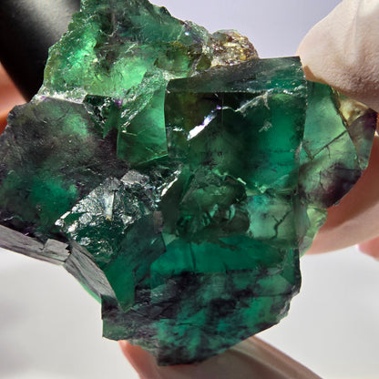 Spécimen de cube de fluorite fantôme parqueté vert violet Okorusu, Namibie 44*42*24 mm 