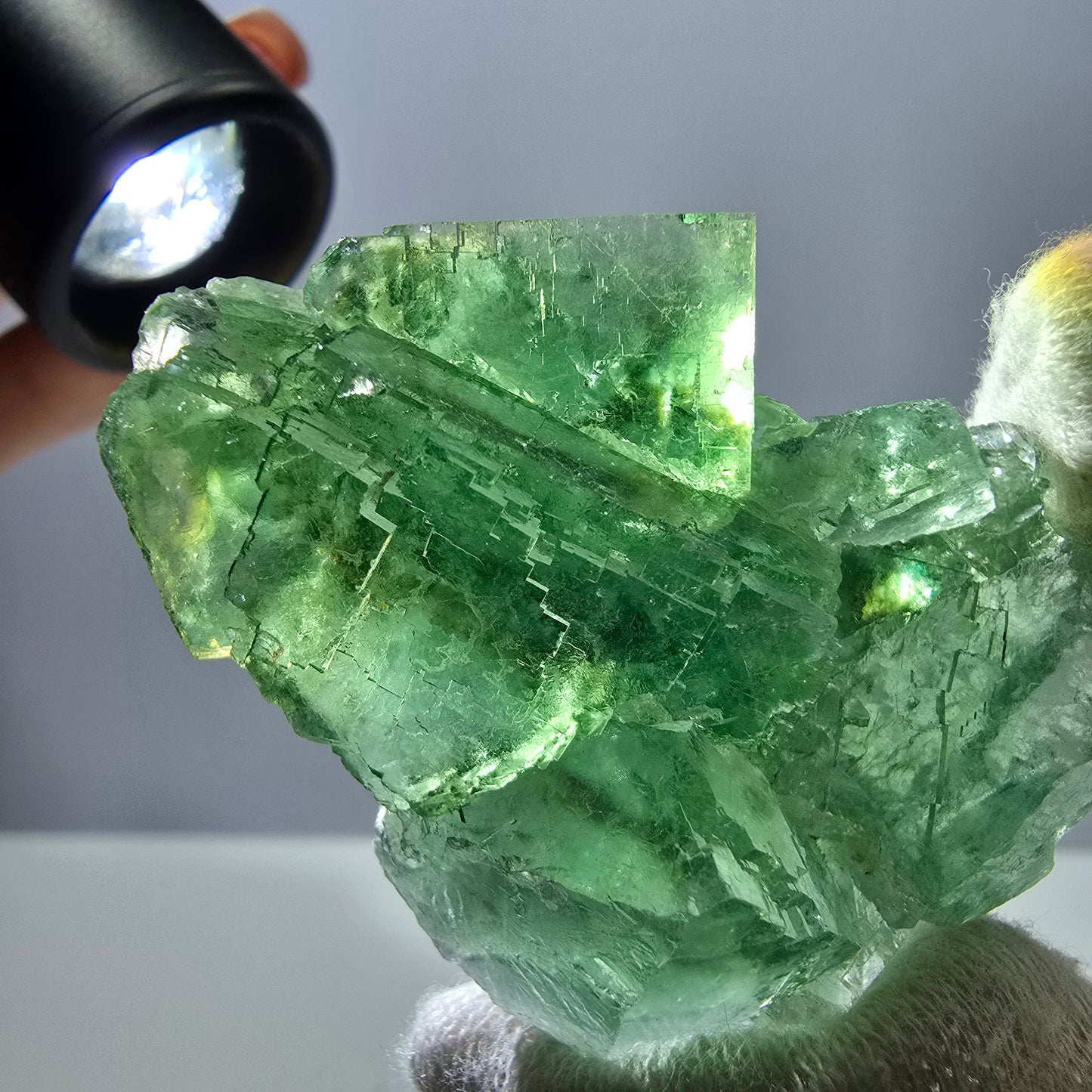 Seltene Phantom Fluorit Würfel Stufe parkettiert grün Okorusu Namibia 52*40*23mm