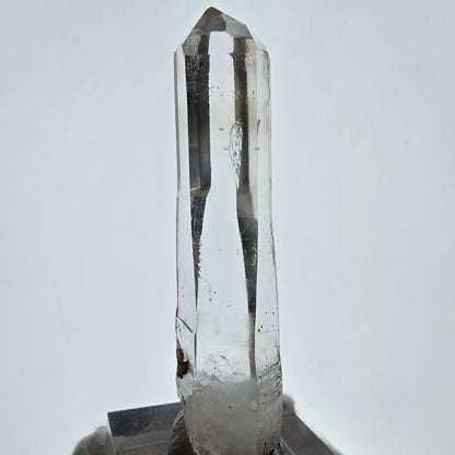 Skeleton Phantom Smoky Quartz Scepter Valentine Pocket, Namibia 59*16*12mm 