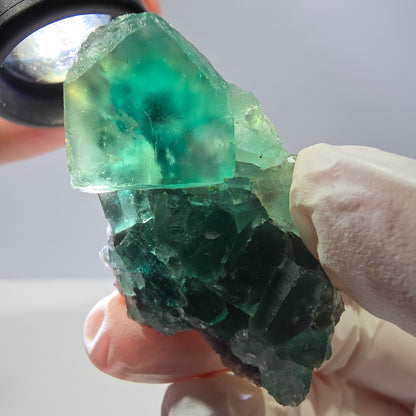 Spécimen de cube de fluorite fantôme transparente, vert parqueté, Okorusu, Namibie, 49 x 31 x 16 mm 