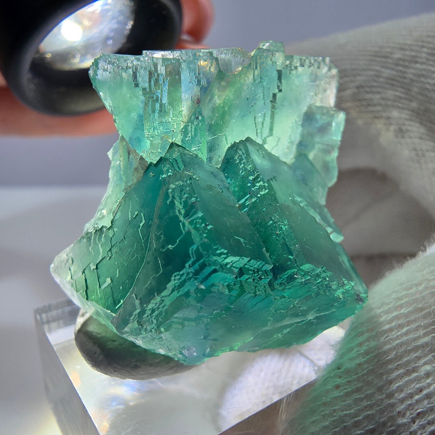 Spécimen de cube de fluorite fantôme parqueté vert turquoise Okorusu, Namibie 41*35*22mm 
