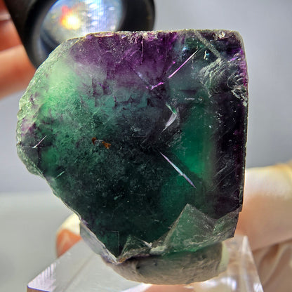 Rare cube de fluorite fantôme parqueté vert violet Okorusu Namibie 31*30*30mm 