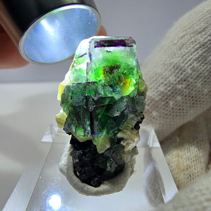 Cube de fluorite fantôme zonal, tourmaline muscovite Schörl Erongo Namibie 31*22*18mm 