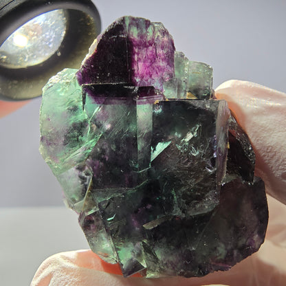 Spécimen de cube de fluorite fantôme parqueté vert violet Okorusu, Namibie 41*30*18mm 