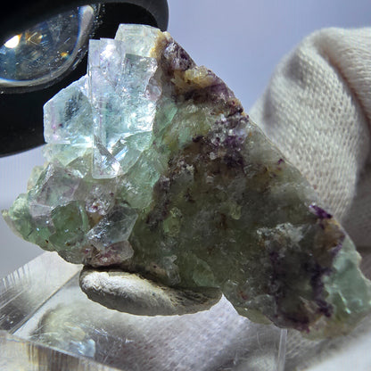 Spécimen rare de cube de fluorite fantôme zonal vert violet Okorusu, Namibie 41*27*9mm 