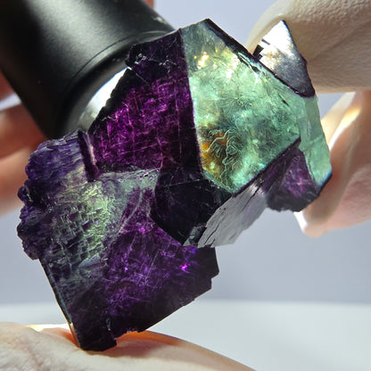Spécimen de cube de fluorite fantôme vert violet zonal 11:11 Angel Pocket, Namibie 45*32*17mm 