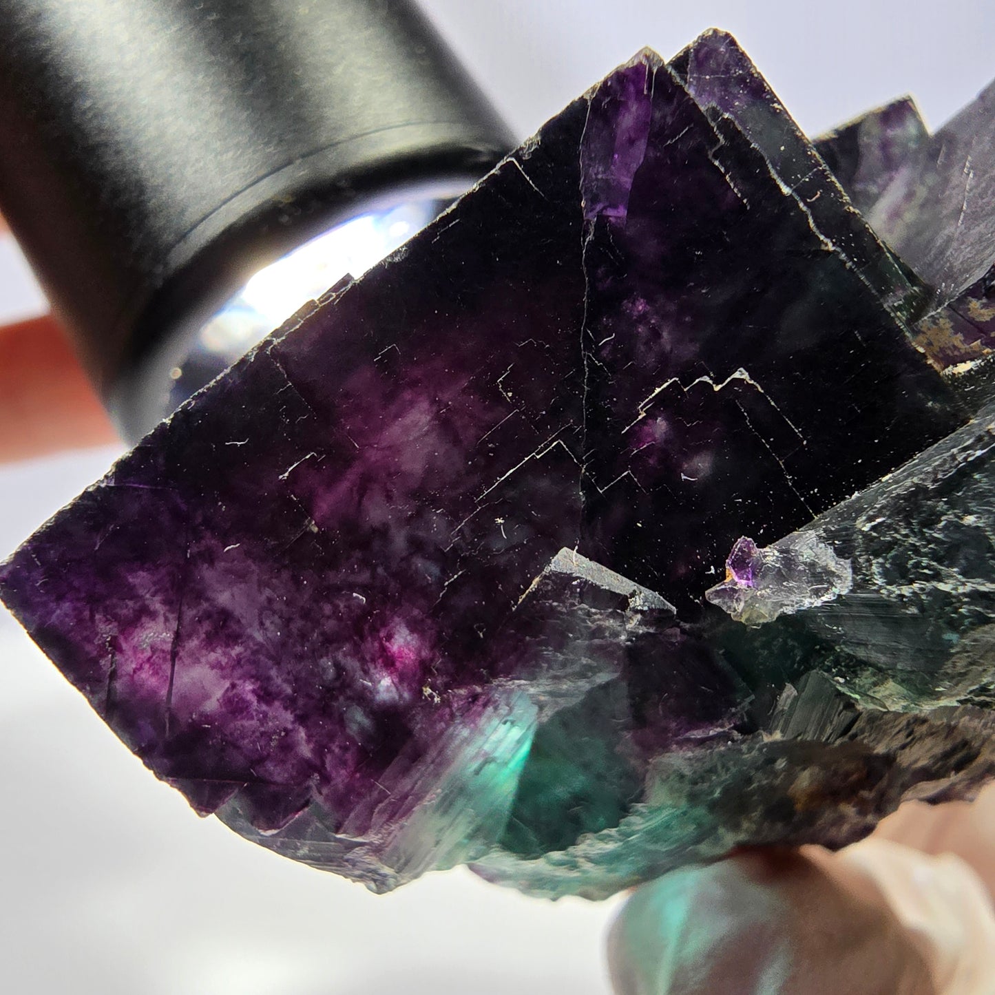 Spécimen de cube de fluorite fantôme, parqueté vert violet Okorusu, Namibie 56*51*45 mm 