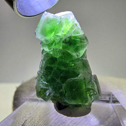 Cube de fluorite fantôme, spécimen de tourmaline Schorl, Erongo, Namibie, 26 x 15 x 15 mm 