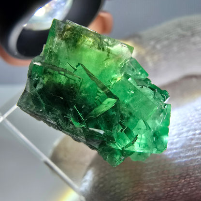 Cube de fluorite fantôme parqueté, vert Okorusu, Namibie 25*21*16mm 
