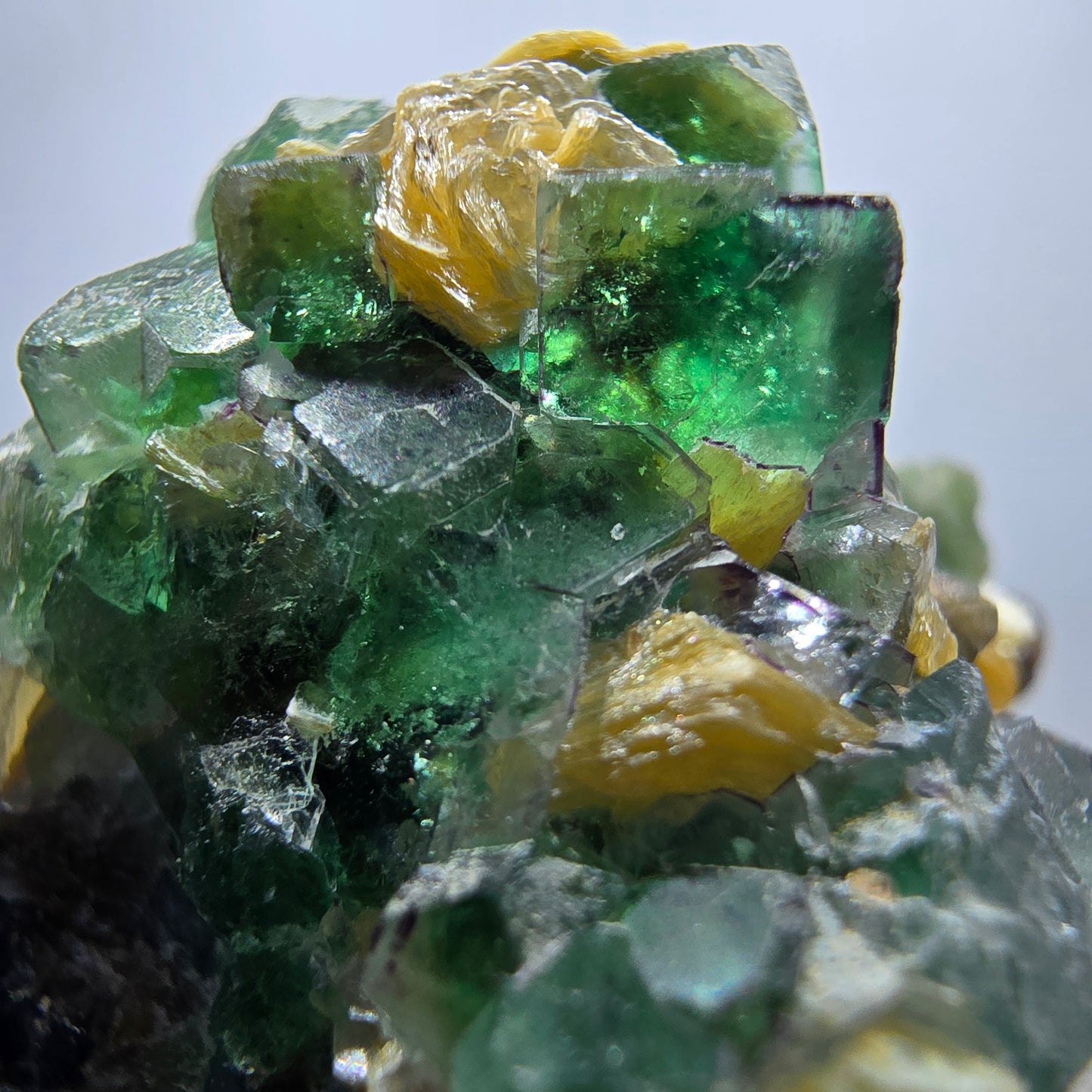 Fluorite fantôme Schörl, tourmaline, calcite, muscovite, stade Erongo, Namibie, 62 x 40 x 38 mm 