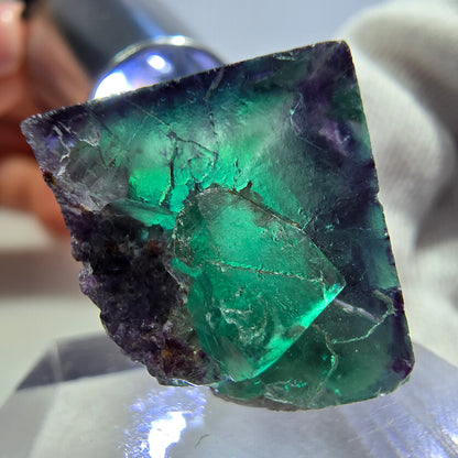 Rare spécimen de cube de fluorite fantôme, vert-violet zonal, Okorusu, Namibie, 25 x 23 x 16 mm 