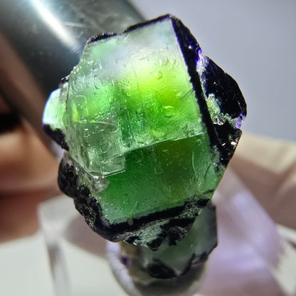 Cube de fluorite fantôme, zonal, muscovite, spécimen de tourmaline Schorl, Erongo, Namibie, 29 x 21 x 14 mm 