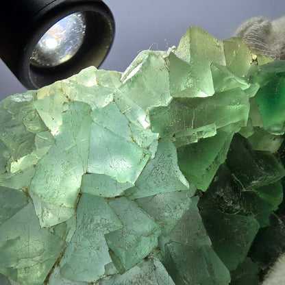 Grand cube de fluorite fantôme étagé, vert Okorusu Namibie 100*74*22mm 