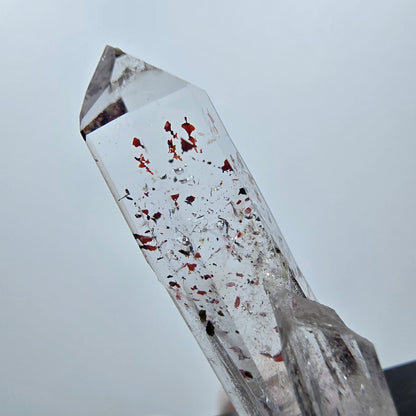 Quartz clair Harlequin Mine Point Streep, Goboboseb, Namibie 34 x 11 x 8 mm 