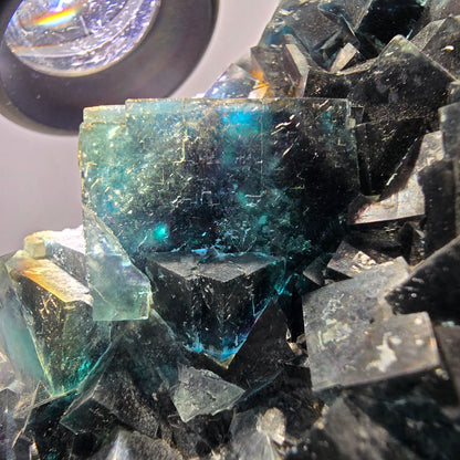 Grand spécimen de cube de fluorite fantôme zonal, nouvelle découverte ! Okorusu, Namibie, 97 x 62 x 36 mm 