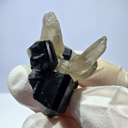 Tourmaline Schorl symétrique, spécimen de quartz fumé, Erongo, Namibie, 33 x 21 x 23 mm 