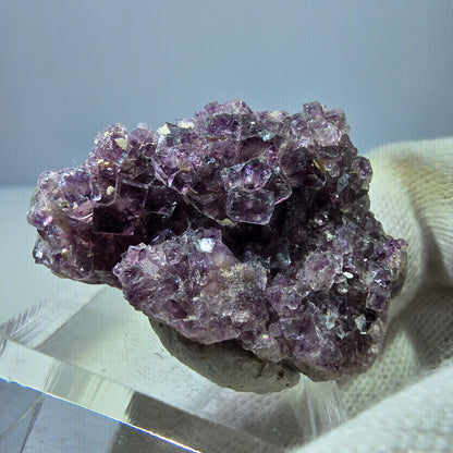 Spécimen rare de cube de fluorite fantôme, vert zonal et violet, Okorusu, Namibie, 38 x 28 x 12 mm