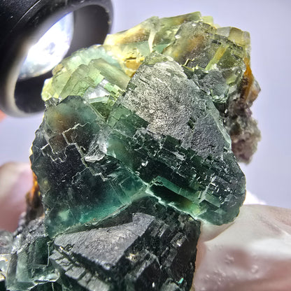 Rare spécimen de cube de fluorite fantôme, parqueté vert Okorusu, Namibie, 61 x 42 x 37 mm 