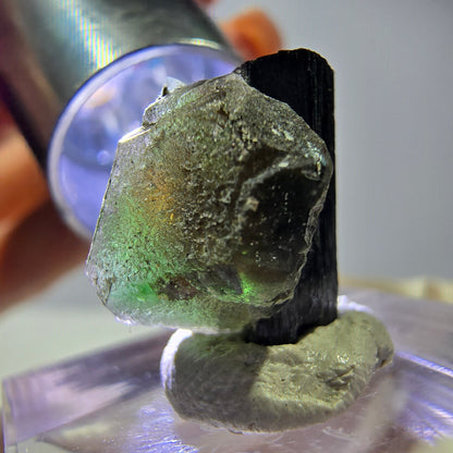 Cube hexagonal de fluorite fantôme, tourmaline Schorl d'Erongo, Namibie 16 x 14 x 13 mm 