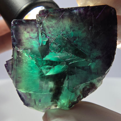 Spécimen de cube de fluorite fantôme parqueté vert violet Okorusu, Namibie 53*43*28mm 