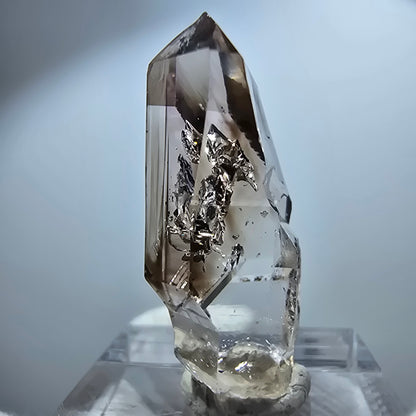 Pointe de sceptre en quartz fumé fantôme transparent, Goboboseb, Namibie, 32 x 15 x 11 mm 