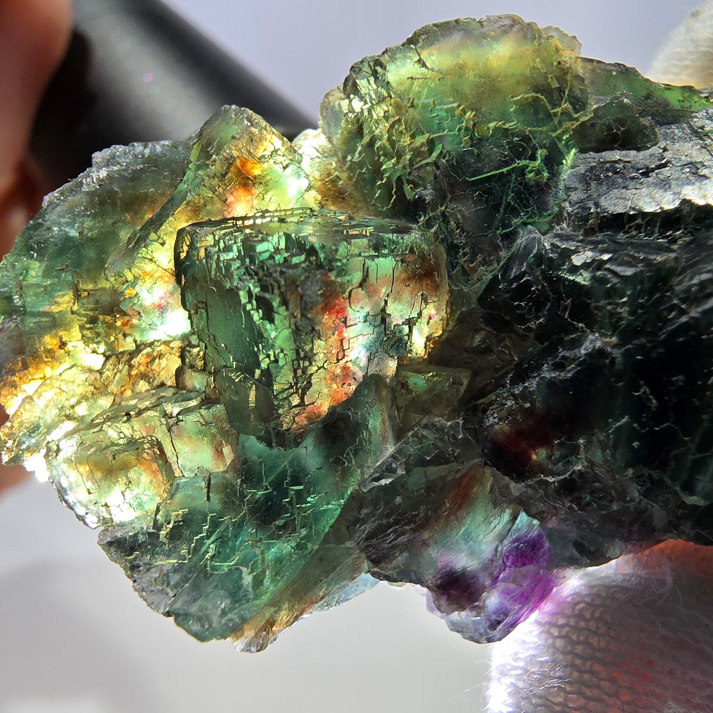 Rare spécimen de cube de fluorite fantôme, parqueté vert Okorusu, Namibie, 52 x 29 x 18 mm 