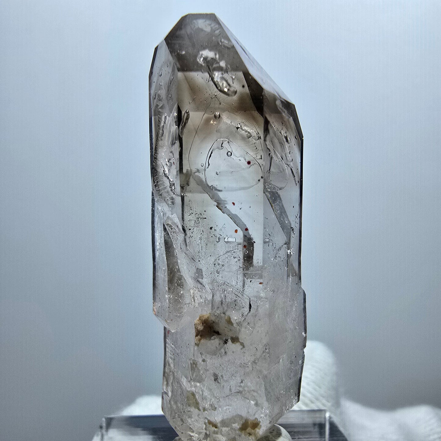 Sceptre Enhydro Phantom Smoky Quartz DT, 2x Bubble Goboboseb, Namibie 42 x 12 x 13 mm 