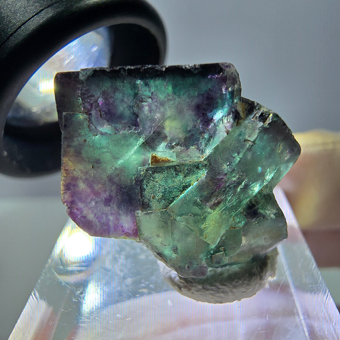 Phantom Fluorit Würfel Stufe, parkettiert grün lila Okorusu, Namibia 21*20*17mm