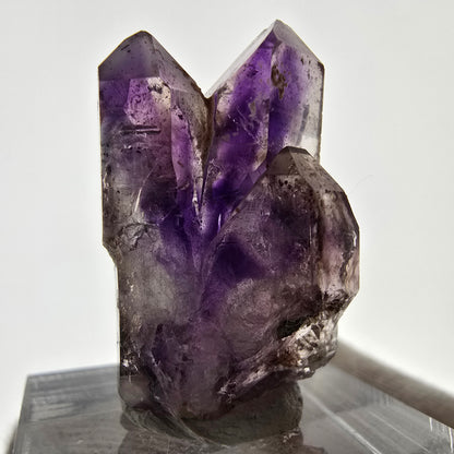 Rare spécimen de sceptre d'améthyste fantôme, Brandberg, Namibie, 31 x 19 x 14 mm 