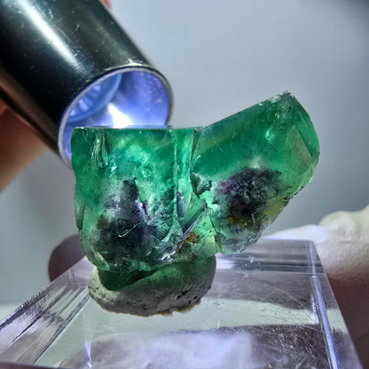Spécimen rare de cube de fluorite, vert violet, Okorusu, Namibie, 25 x 16 x 14 mm 