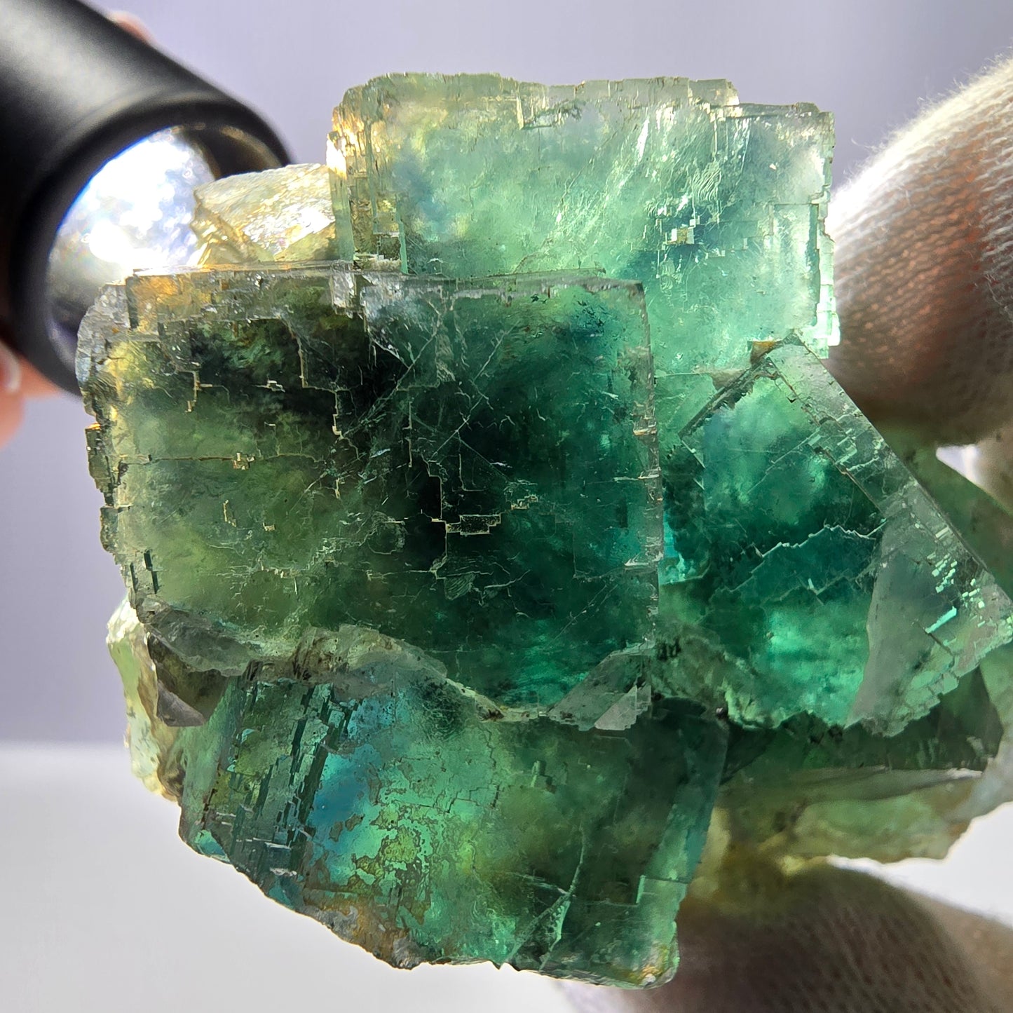 Seltene Phantom Fluorit Würfel Stufe parkettiert grün Okorusu Namibia 68*47*25mm