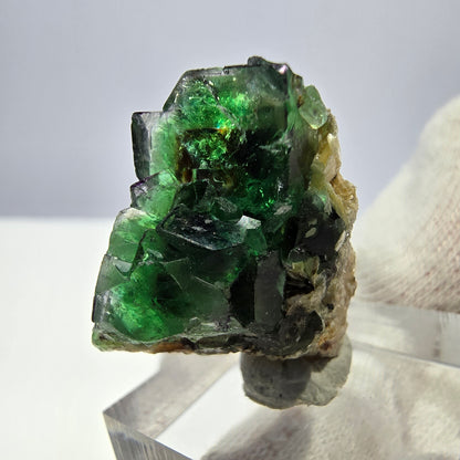 Cube de fluorite fantôme zonal, tourmaline hyalite muscovite Schörl, Erongo, Namibie 24 x 22 x 11 mm 