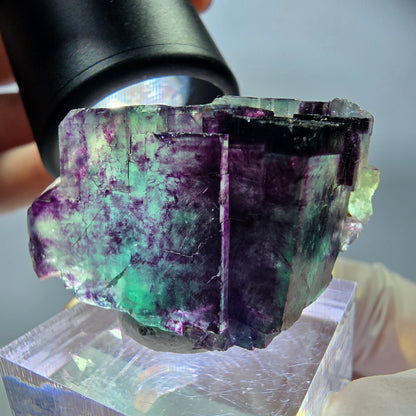 Rare Fluorite Cube Specimen, green purple Okorusu, Namibia 38*23*18mm 