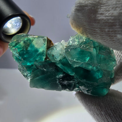 Rare spécimen de cube de fluorite fantôme, parqueté vert Okorusu, Namibie, 55 x 34 x 17 mm 
