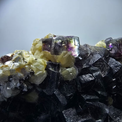 Cubes de fluorite fantôme colorés, spécimen de muscovite, Erongo, Namibie, 71 x 56 x 35 mm 