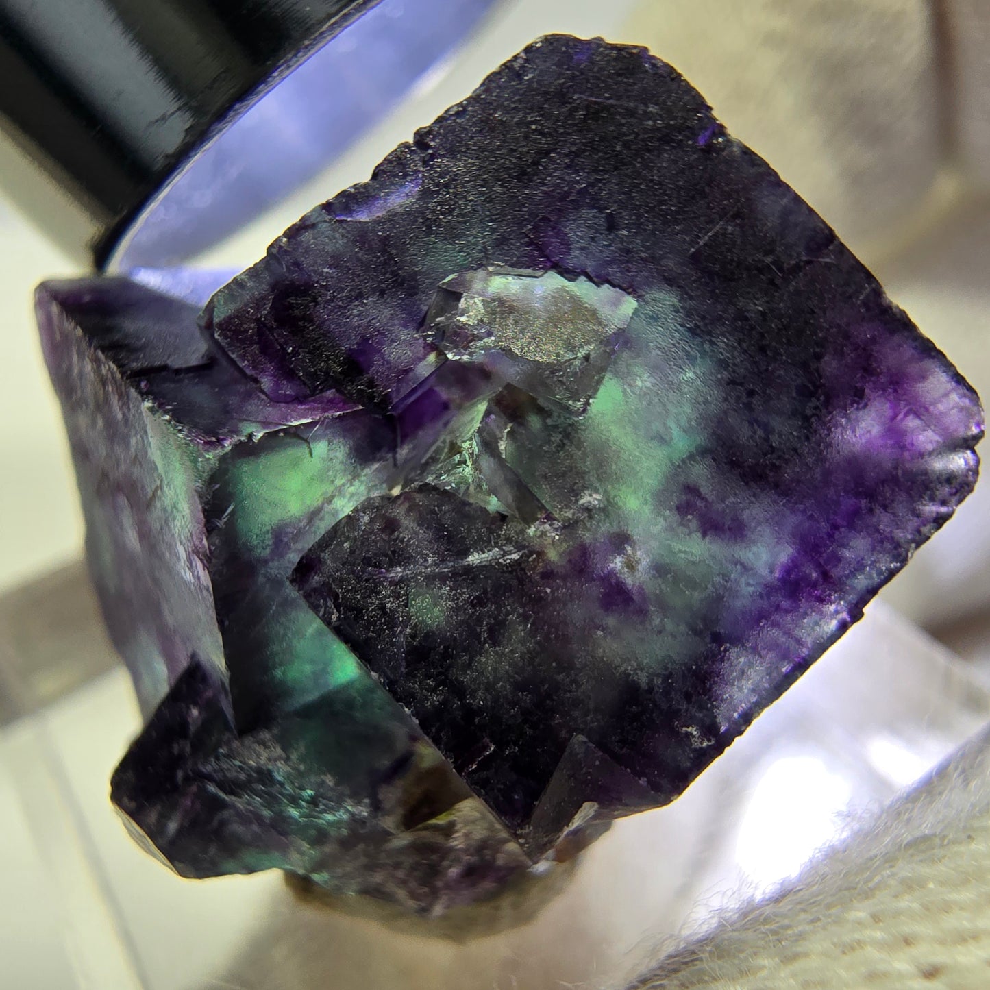 Spécimen rare de cube de fluorite fantôme, vert zonal et violet, Okorusu, Namibie, 30 x 21 x 16 mm 