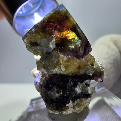 Spécimen de fluorite fantôme colorée, tourmaline scholle, muscovite, Erongo, Namibie, 27 x 24 x 18 mm 