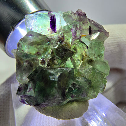 Spécimen zonal de cube de fluorite fantôme, vert violet, Okorusu, Namibie, 30 x 28 x 13 mm 