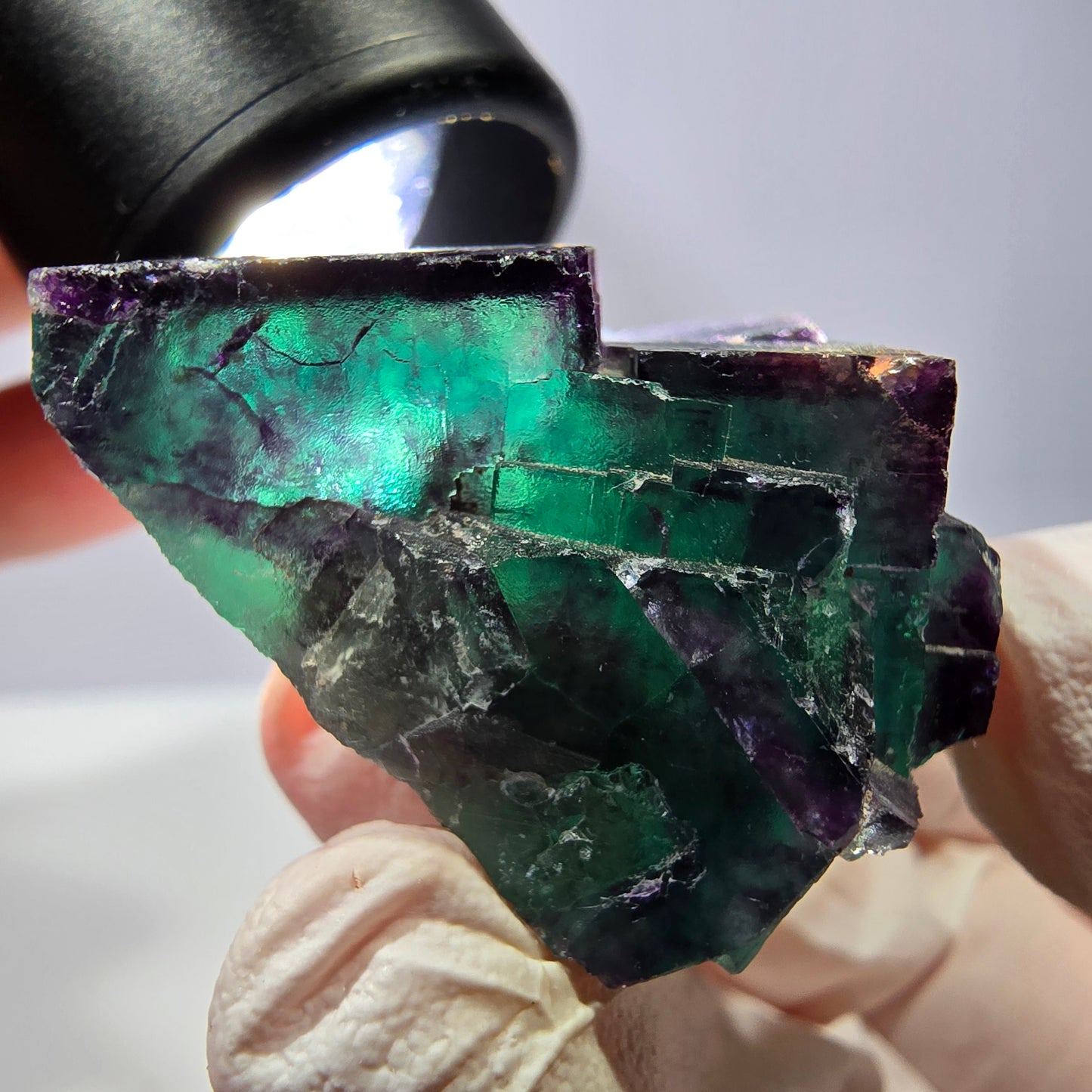 Spécimen de cube de fluorite fantôme, parqueté vert violet Okorusu, Namibie 39*33*22 mm 
