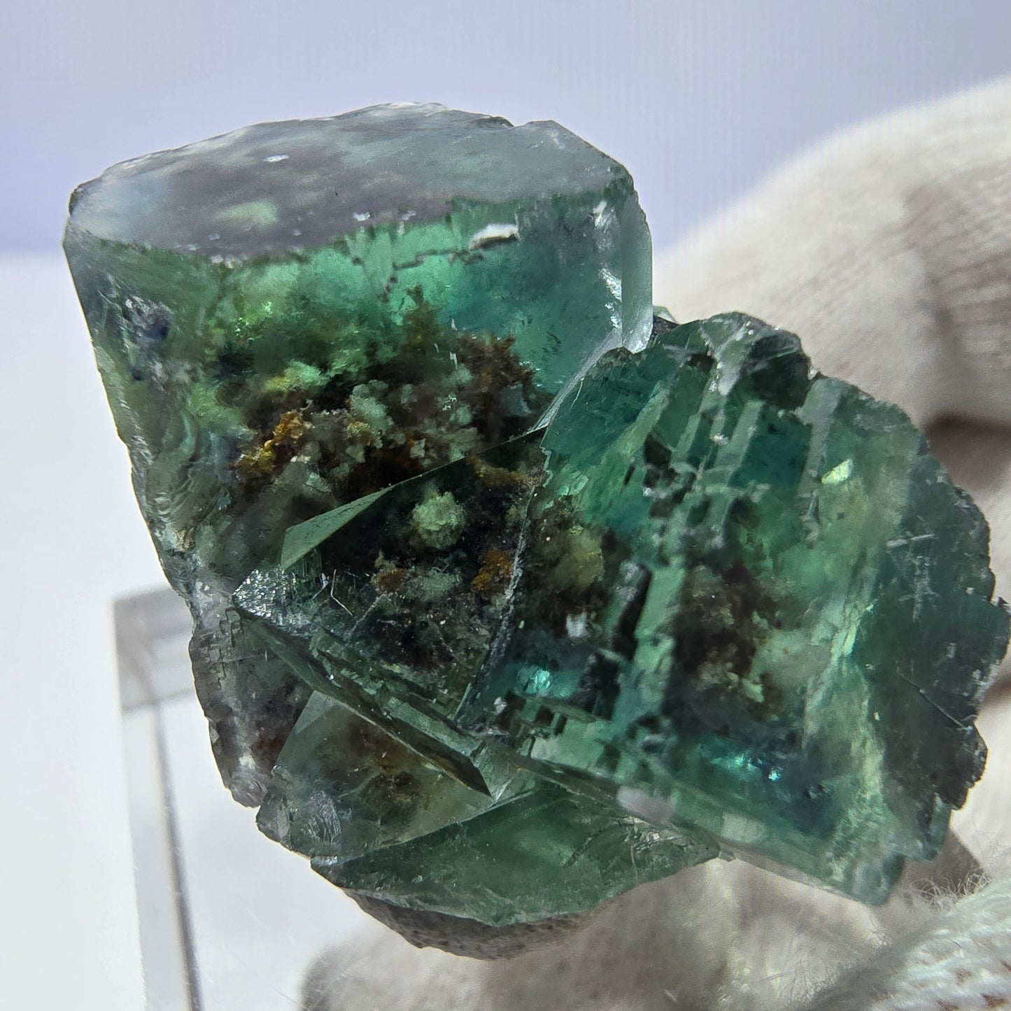 Rare Phantom Fluorite Cube Specimen, parqueted, green Okorusu, Namibia 29*23*21mm 