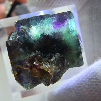 Spécimen rare de cube de fluorite fantôme, vert zonal et violet, Okorusu, Namibie, 22 x 15 x 17 mm 