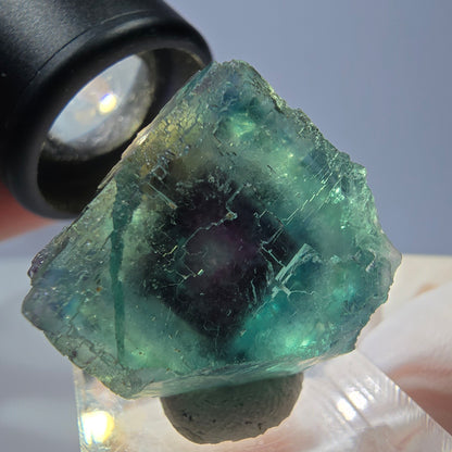 Cristal de fluorite fantôme transparent, cube vert-violet, Okorusu, Namibie, 24 x 24 x 20 mm 