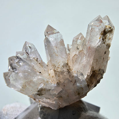 Phantom Smoky Quartz Scepter Cluster Valentine Pocket, Namibia 46*43*25mm 