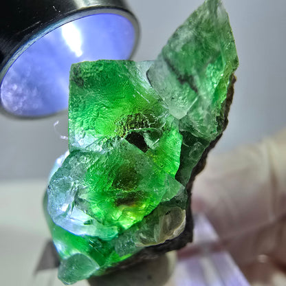 Cube de fluorite fantôme, spécimen de muscovite, Erongo, Namibie, 36 x 19 x 16 mm 