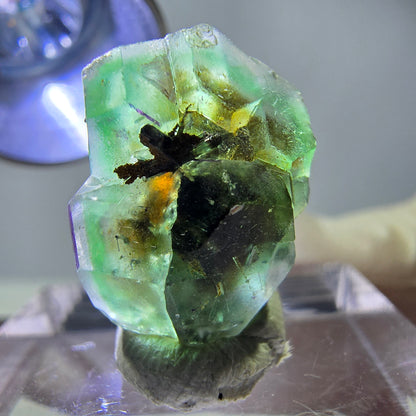 Cube hexagonal de fluorite fantôme, tourmaline Schorl d'Erongo, Namibie 17 x 13 x 12 mm 